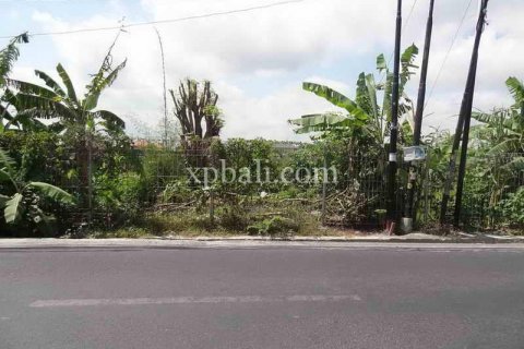 8600m2 Land in Seminyak, Badung, Indonesia No. 475 8