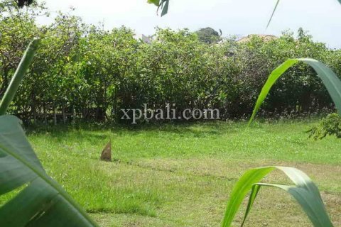 8600m2 Land in Seminyak, Badung, Indonesia No. 475 4