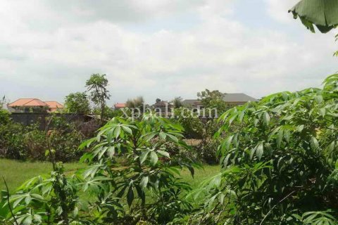 8600m2 Land in Seminyak, Badung, Indonesia No. 475