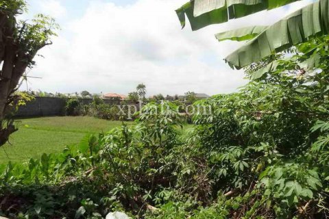 8600m2 Land in Seminyak, Badung, Indonesia No. 475 2