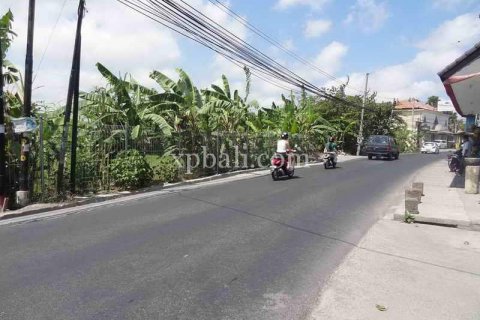 8600m2 Land in Seminyak, Badung, Indonesia No. 475 7