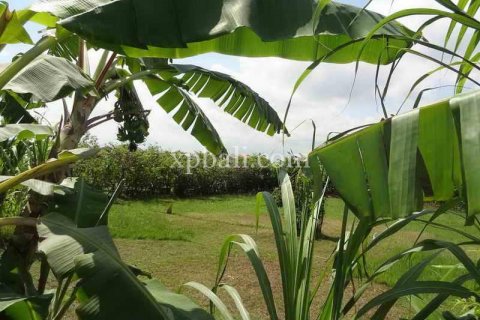 8600m2 Land in Seminyak, Badung, Indonesia No. 475 5