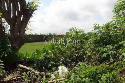 8600m2 Land in Seminyak, Badung, Indonesia No. 475 3