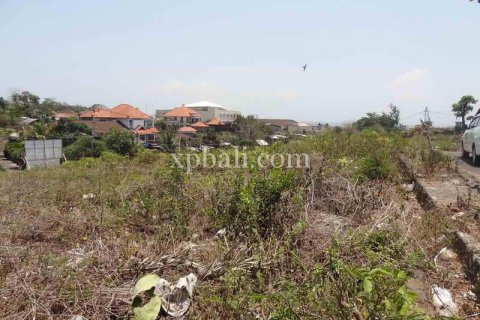 3100m2 Land in Nusa Dua, Badung, Indonesia No. 476 2