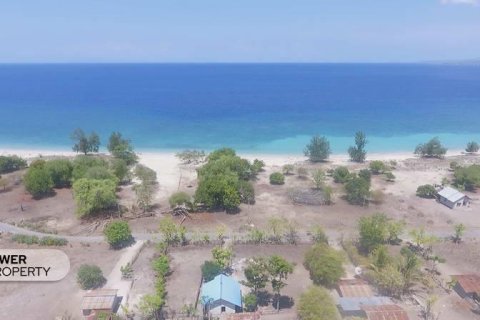 2761m2 Land in Indonesia No. 9336 3
