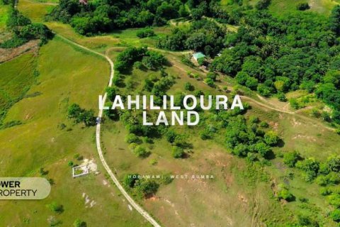 12343m2 Land in Indonesia No. 9340 25