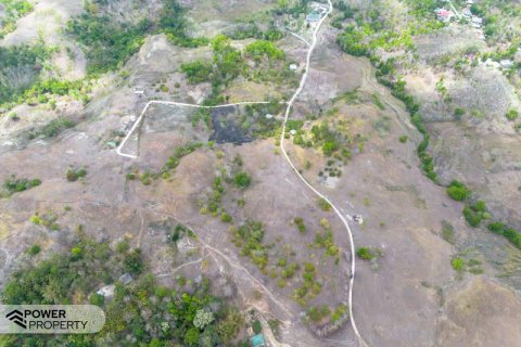 12343m2 Land in Indonesia No. 9340 6