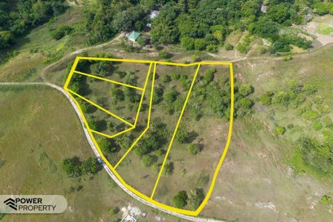 12343m2 Land in Indonesia No. 9340 26