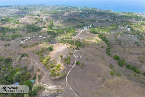 12343m2 Land in Indonesia No. 9340 14