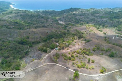 12343m2 Land in Indonesia No. 9340 13