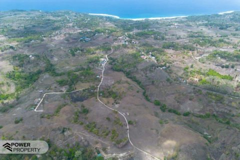 12343m2 Land in Indonesia No. 9340 9