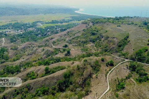 12343m2 Land in Indonesia No. 9340 1
