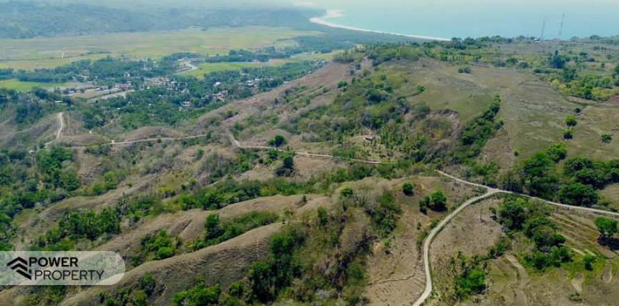 12343m2 Land in Indonesia No. 9340
