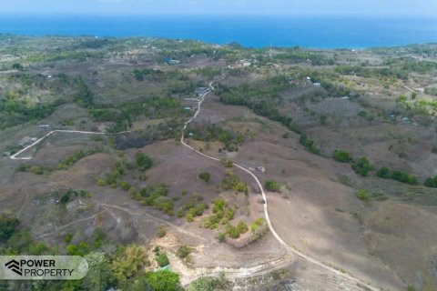 12343m2 Land in Indonesia No. 9340 10