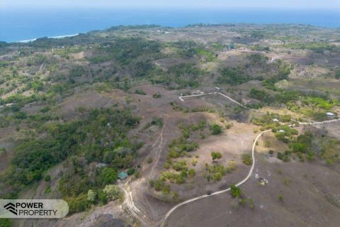 12343m2 Land in Indonesia No. 9340 15