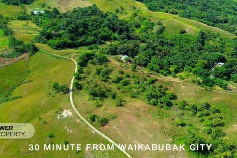 12343m2 Land in Indonesia No. 9340 21