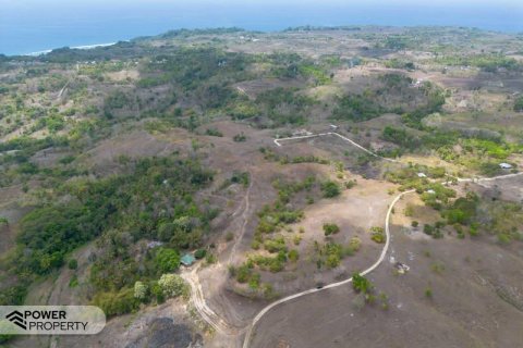 12343m2 Land in Indonesia No. 9340 16