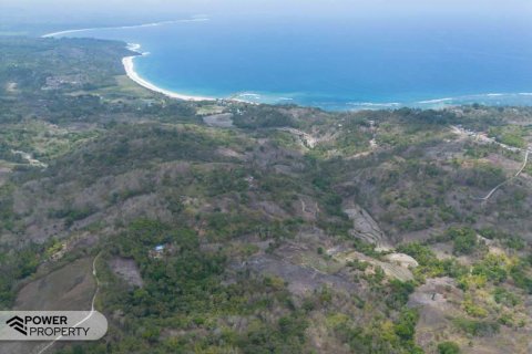 12343m2 Land in Indonesia No. 9340 5