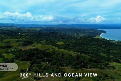 12343m2 Land in Indonesia No. 9340 22