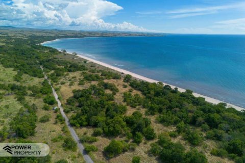 4000m2 Land in Indonesia No. 9335 3
