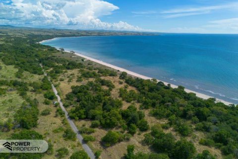 4000m2 Land in Indonesia No. 9335 4