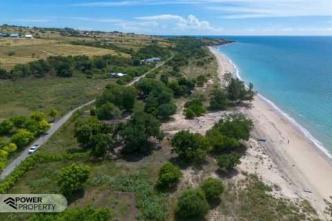 4000m2 Land in Indonesia No. 9335 10