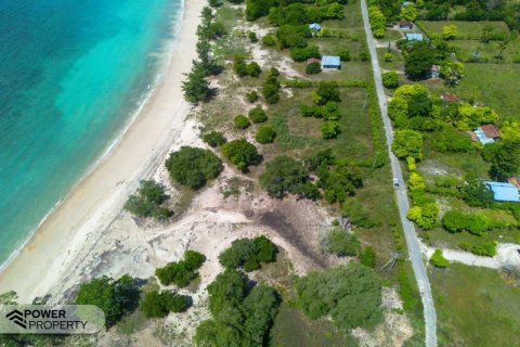 4000m2 Land in Indonesia No. 9335 20