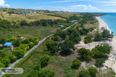 4000m2 Land in Indonesia No. 9335 8