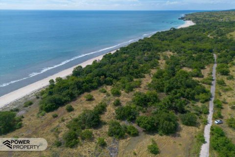 4000m2 Land in Indonesia No. 9335 5