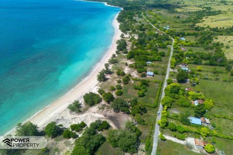 4000m2 Land in Indonesia No. 9335 22