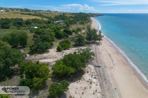 4000m2 Land in Indonesia No. 9335 12