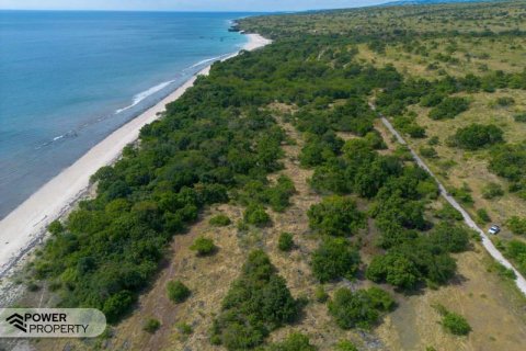 4000m2 Land in Indonesia No. 9335 6