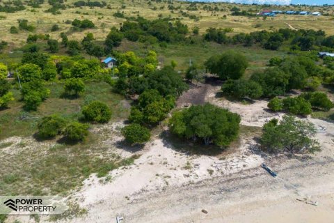 4000m2 Land in Indonesia No. 9335 14