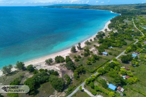 4000m2 Land in Indonesia No. 9335 23
