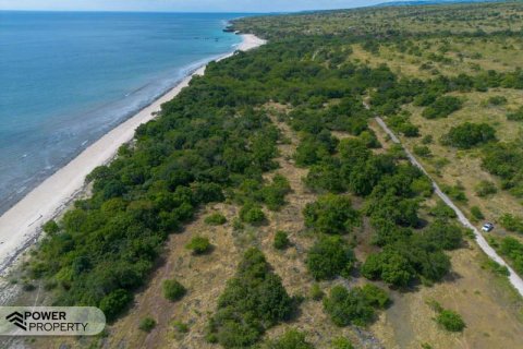 4000m2 Land in Indonesia No. 9335 7