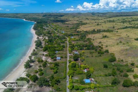 4000m2 Land in Indonesia No. 9335 21