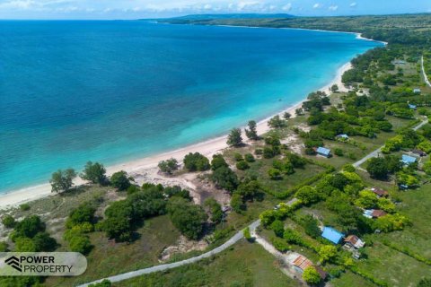 4000m2 Land in Indonesia No. 9335 24