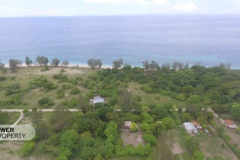 2000m2 Land in Indonesia No. 9337 11