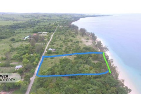 2000m2 Land in Indonesia No. 9337 6