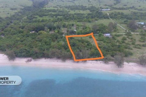 2000m2 Land in Indonesia No. 9337 8