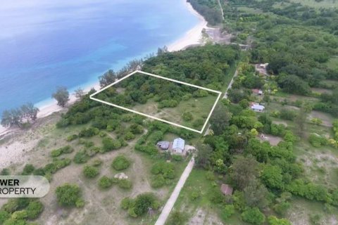 2000m2 Land in Indonesia No. 9337 13