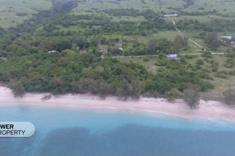 2000m2 Land in Indonesia No. 9337 7