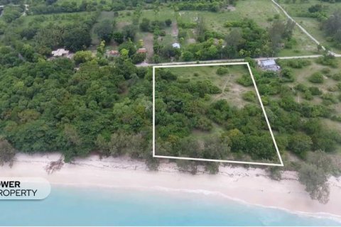 2000m2 Land in Indonesia No. 9337 5