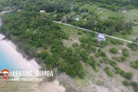 2000m2 Land in Indonesia No. 9337 3
