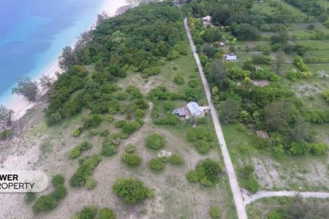 2000m2 Land in Indonesia No. 9337 12