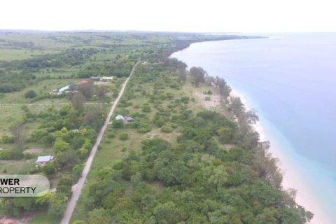2000m2 Land in Indonesia No. 9337 10