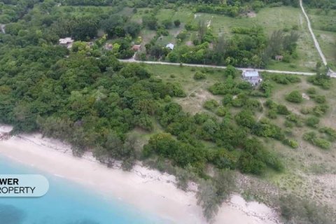 2000m2 Land in Indonesia No. 9337 4
