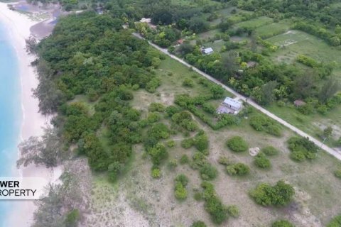 2000m2 Land in Indonesia No. 9337 2