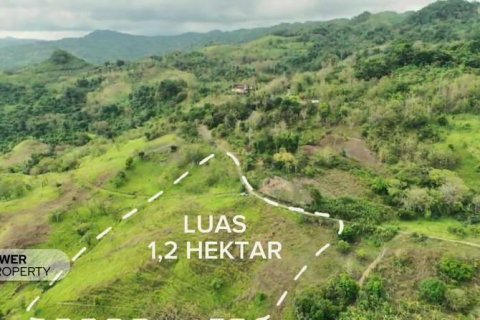 12392m2 Land in Indonesia No. 9339