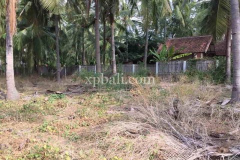 1200m2 Land in Gili Trawangan, Gili Indah, North Lombok, Indonesia No. 7914